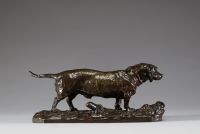 Pierre-Jules Mêne (1810-1879) - Bronze animalier : 'Teckel', patine brune