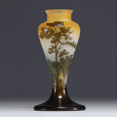 Émile GALLÉ (1846-1904) Acid-etched multi-layered glass vase with lacustrine decoration, signed.