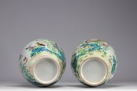 Rare large pair of Famille rose porcelain vases decorated with birds and flowers, 19th century.