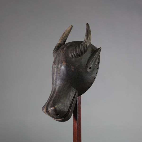 Rare masque zoomorphe de buffle surmonté de cornes, ethnie Holo, RD Congo / Angola. Bois ancien, belle patine sombre intégrée au bois. H : 41 cm  Collecté sur site par A.S., St Idesbald, début des années 1950 . Un masque relativement similaire a été présenté chez Christie’s New york ( lot 287 le 20/01/1982 – prov . Jeff van Straete, Lasne )