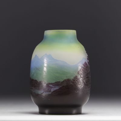 Rare pair of green family porcelain vases, decorated in relief with white dogs and elephants, Qing period