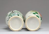 Chine - Paire de vases en porcelaine polychrome famille verte à décor d'oiseaux et de papillons, XIXème.