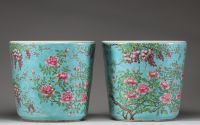 Élégante paire de cache-pots en porcelaine polychrome à fond turquoise, décorés de glycines et oiseaux, Chine, dynastie Qing, XIXe siècle