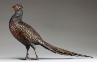 Franz Xavier BERGMANN (1861-1936) Bronze de Vienne animalier polychrome représentant un faisan, signé.
