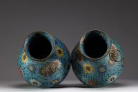 China - Pair of bronze vases in cloisonné enamel with lotus and foliage decoration, handles with taotie heads, Ming period.