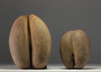 Paire de Cocco Fesse