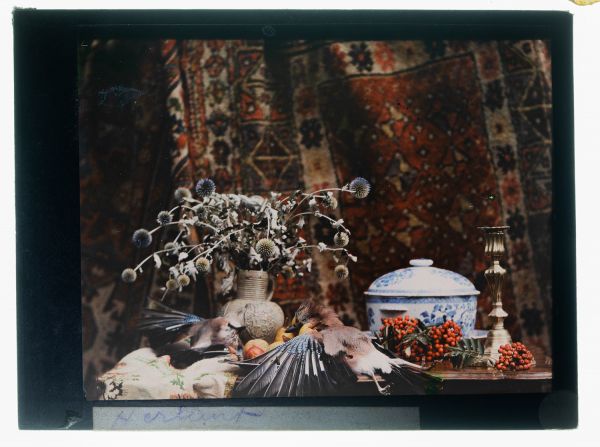 Léon Herlant (1873-1968) — Remarquable autochrome sur plaque Lumière, 8,5 x 10 cm.  Cette somptueuse nature morte s'inscrit dans la tradition des peintures flamandes du XVIIᵉ siècle par la richesse de sa composition et la subtilité de sa lumière. Au centre, un élégant candélabre en argent capte la lumière naturelle et l’irradie délicatement sur la scène, révélant avec finesse les détails des ailes