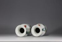 China - Pair of famille rose porcelain vases decorated with landscape and poem.
