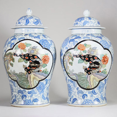 Asie, XXᵉ siècle – Paire de potiches couvertes en porcelaine à décor de lions en cartouches sur fond floral bleu et blanc.