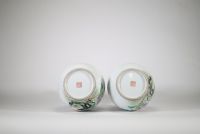 Paire de vases en porcelaine de Chine, période République, à décor de paons et pivoines