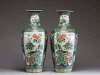 Chine - Paire de vases en porcelaine polychrome famille verte à décor d'oiseaux en cartouches sur un fond fleuri, XIXème.