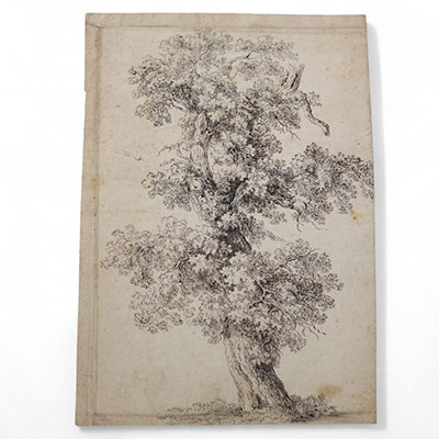Claude Gellée, dit Le Lorrain (1600–1682).(Attribué à) ou (école de)Étude d’arbre – Plume et encre brune sur papier vergé.