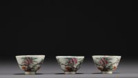 Chine - Ensemble de onze bols de différentes tailles en porcelaine de la famille rose, XIXème.