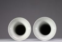 Chine - Paire de vases Gu en porcelaine blanc bleu à décor floral de coqs et poules , marque et époque Kangxi. Bon état