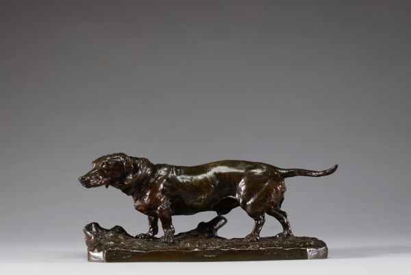 Pierre-Jules Mêne (1810-1879) - Bronze animalier : 'Teckel', patine brune