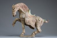 Chine - Cheval en terre cuite polychrome, Dynastie Tang (?)