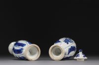 Chine - Paire de petits vases en porcelaine blanc bleu à décor de femmes, époque Kangxi.