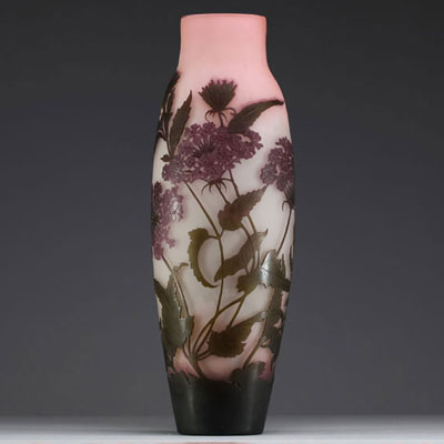 Émile GALLÉ (1846-1904) Acid-etched multi-layered glass vase decorated with umbels, signed.