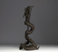Japan - Large dragon in bronze with dark brown patina, Meiji period.
