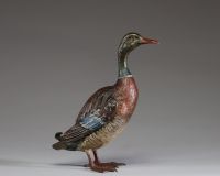 Franz Xavier BERGMANN (1861-1936) Bronze de Vienne animalier polychrome représentant un canard Col vert, signé et monogrammé.