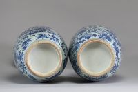 Chine - Paire de vases en porcelaine blanc bleu à décor floral, d'oiseaux et de papillons, Qianlong, XVIIIème.