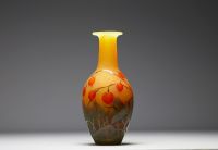 DAUM Nancy - Rare vase en verre multicouche dégagé à l'acide à décor gravé et émaillé de Physalis, signé.