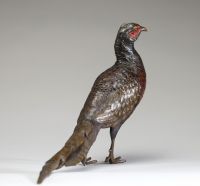 Franz Xavier BERGMANN (1861-1936) Bronze de Vienne animalier polychrome représentant un faisan, signé.