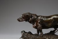 Pierre-Jules Mêne (1810-1879) - Bronze animalier : 'Teckel', patine brune