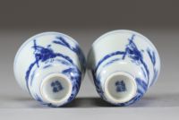 Chine – Paire de petites coupes en porcelaine blanc bleu à décor de lettrés à cheval sous les pins, marque apocryphe de Kangxi  Paire de coupes évasées en porcelaine à décor en bleu sous couv