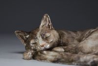 Jean TIÉLÈS, Paris - Cat having a siesta in glazed ceramic, 19th century.