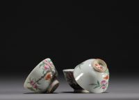 Chine - Ensemble de onze bols de différentes tailles en porcelaine de la famille rose, XIXème.