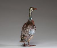 Franz Xavier BERGMANN (1861-1936) Bronze de Vienne animalier polychrome représentant un canard Col vert, signé et monogrammé.