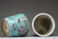 Élégante paire de cache-pots en porcelaine polychrome à fond turquoise, décorés de glycines et oiseaux, Chine, dynastie Qing, XIXe siècle