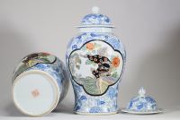 Asie, XXᵉ siècle – Paire de potiches couvertes en porcelaine à décor de lions en cartouches sur fond floral bleu et blanc