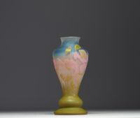 Émile GALLÉ (1846-1904) Acid-etched multi-layered glass vase with floral design, signed..