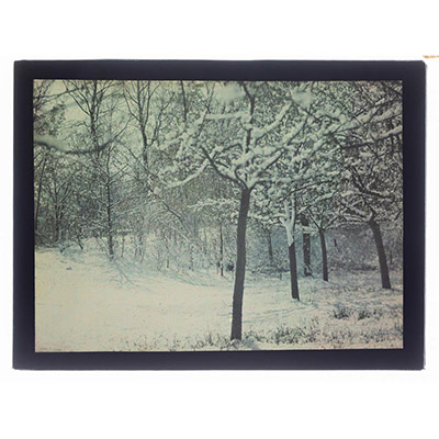 Léon Herlant (1873-1968) — autochrome sur plaque Lumière», 12 x 9 cm.  Paysage de verger sous la neige Dans ce paysage hivernal, un ensemble d’arbres forme la structure centrale de la composition. Dépouillés de leur feuillage, leurs branches nues découpent avec élégance l'immense blancheur de la neige qui recouvre le sol. L’harmonie entre les troncs sombres et le tapis lumineux crée un jeu subtil