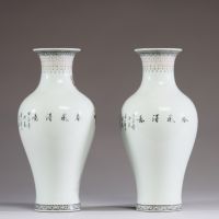 Chine - Paire de vases en porcelaine polychrome à décor d'oiseaux perchés sur une branche fleurie, période République.