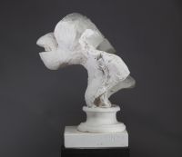 HORN XVII (XXe siècle) Buste d’orang-outan Plâtre original, signé à la base 