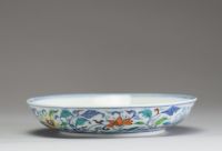 Chine - Assiette en porcelaine polychrome Doucai à décor floral, Yongzheng, marque au bleu sous la pièce.