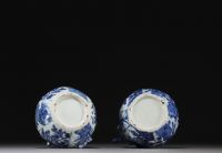 Chine - Paire de verseuses en porcelaine blanc bleu à décor floral, Wanli, dynastie Ming.
