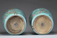 Élégante paire de cache-pots en porcelaine polychrome à fond turquoise, décorés de glycines et oiseaux, Chine, dynastie Qing, XIXe siècle