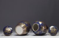 Paire de vases couverts en porcelaine bleu poudré, à décor de coqs et de fleurs à l'or, dynastie Qing, XIXe siècle.