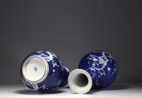 China - Pair of blue-white porcelain vases with prunus decoration, late 19th century.