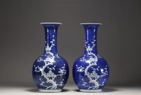 China - Pair of blue-white porcelain vases with prunus decoration, late 19th century.