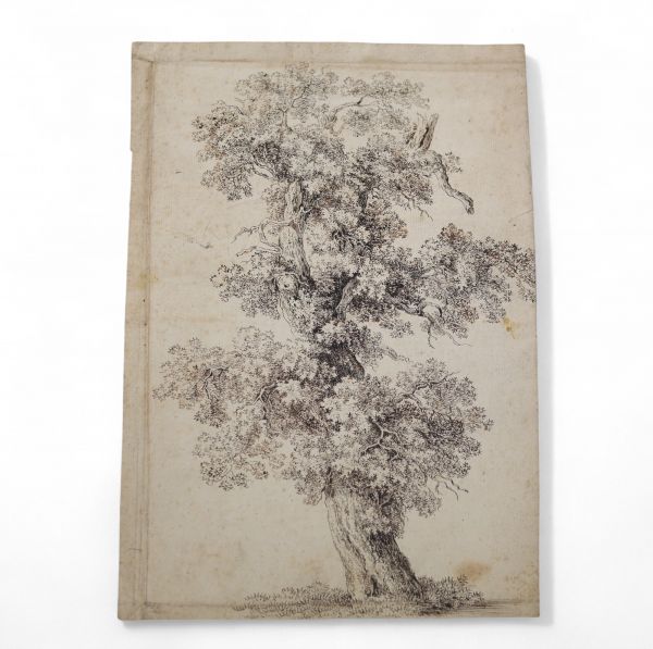 (Attribué à) (ou école de) Claude Gellée, dit Le Lorrain (1600–1682) Étude d’arbre – Plume et encre brune sur papier vergé  Ce magnifique dessin exécuté à la plume et encre brune sur papier vergé représente un arbre solitaire, traité avec une grande sensibilité graphique et une attention minutieuse aux jeux de feuillage et à la structure du tronc. L’œuvre est attribuée à Claude Gellée, plus connu