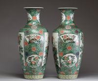 Chine - Paire de vases en porcelaine polychrome famille verte à décor d'oiseaux en cartouches sur un fond fleuri, XIXème.
