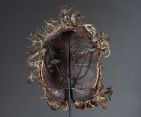 Afrique RDC - Rare masque Lega en carapace, plumes et cauris, Congo RDC.