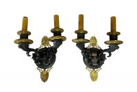 Lustre et appliques en bronze à deux patines, époque Charles X.