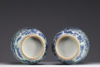 China - Pair of blue-white porcelain vases with floral decoration, Qianlong, 18th century