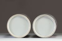 China - Pair of polychrome porcelain scroll vases decorated with dragons and mouse chaves.
